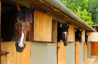 free Llechryd stable construction quotes